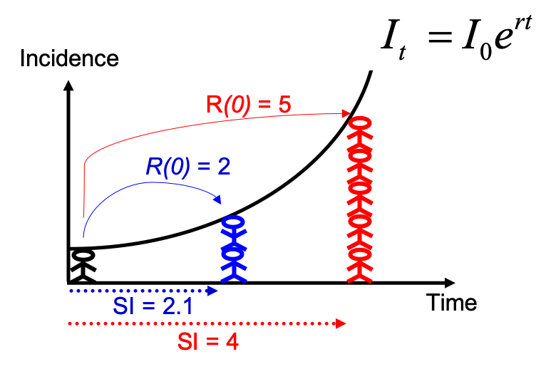 Estimating R0 from the growth rate and the serial
interval.